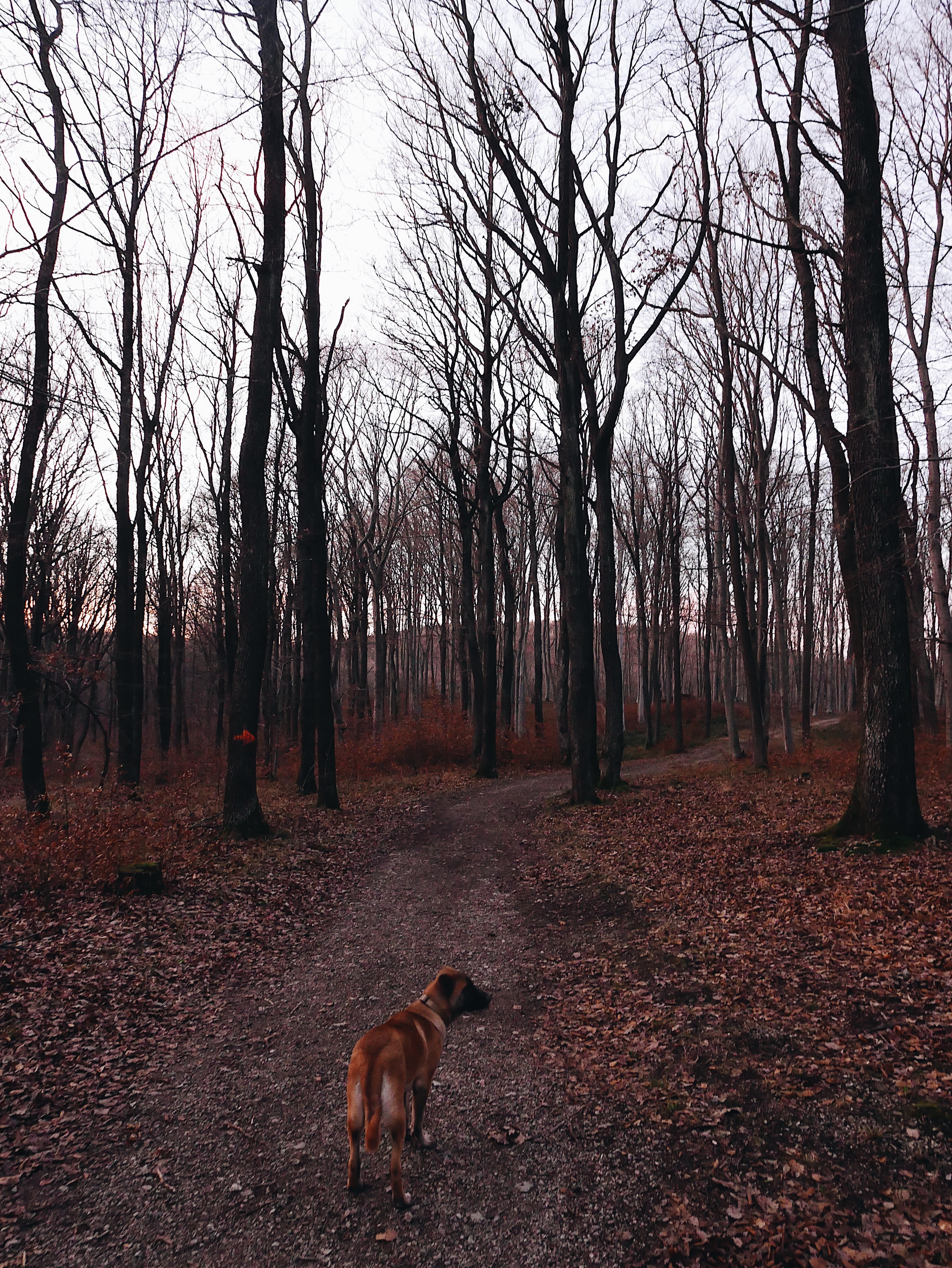 Processed with VSCO with a6 preset